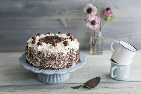 Schwarzwälder Kirschtorte auf blauem Tortenständer vor grauem Hintergrund - IPF000097