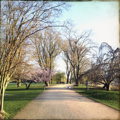 Joggen auf der Außenalster, Alsterufer, Hamburg, Deutschland - MSF003689