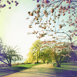 Jogging on the outer Alster, Alsterufer, Hamburg, Germany - MSF003687