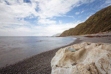 Neuseeland, Wellington, Kapiti, Makara Beach - WV000613