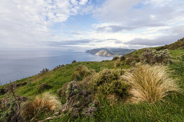 Neuseeland, Wellington, Kapiti, Makara, Küste - WV000601