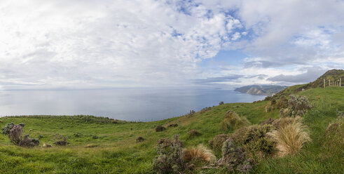 Neuseeland, Wellington, Kapiti, Makara, Küste - WV000600