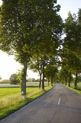 Germany, North Rhine-Westphalia, Petershagen, Country road in the evening - HAWF000059