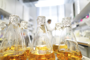 Germany, Freiburg, Bottles of growth medium in laboratory, scientist in background - SGF000507