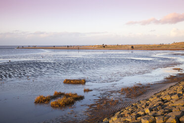 Deutschland, Niedersachsen, Ostfriesland, Norden, Norddeich, Nationalpark Niedersächsisches Wattenmeer, Strand - WIF000546