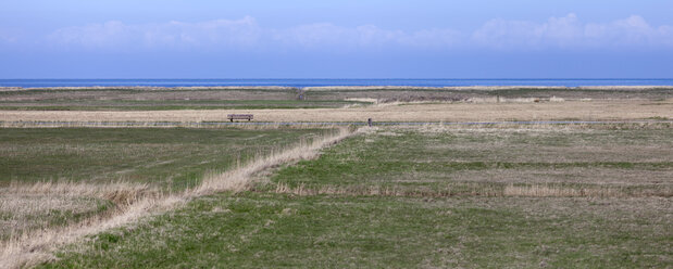 Germany, North Friesian Islands, Sylt, Salt marsh near Morsum - ATAF000053
