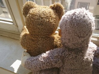 Zwei ausgestopfte Tiere, Affe und Teddy, schauen aus dem Fenster, Neuss, NRW, Deutschland - UWF000072