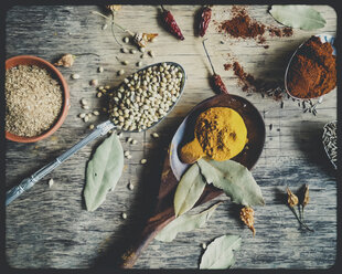 Selection of indian spices (Garam Masala, Turmeric, Coriander, bay leaves, dried chili, Cumin) - SBDF000727