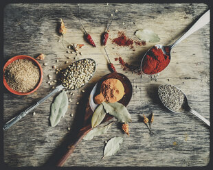 Selection of indian spices (Garam Masala, Turmeric, Coriander, bay leaves, dried chili, Cumin) - SBDF000731
