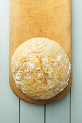 Hausgemachtes Brot ohne Kneten - ECF000478