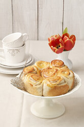 Homemade cinnamon buns, studio shot - ECF000482