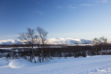 Norwegen, Karlebotn, Winterlandschaft am Varangerfjord - SR000496