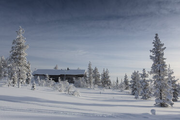 Finnland, bei Saariselka, Blockhaus zwischen schneebedeckten Bäumen - SR000474