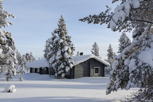 Finnland, bei Saariselka, Blockhaus zwischen schneebedeckten Bäumen - SR000468