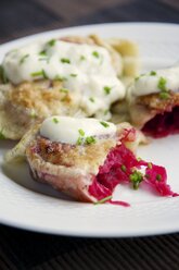 Fried herbed pierogi with a beet, sauerkraut and potato filling, served with soy yogurt and chives - HAWF000069