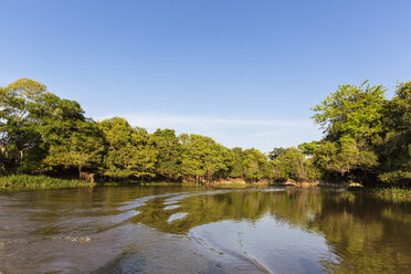 Brazil, Mato Grosso do Sul, Pantanal, Cuiaba River - FOF006455