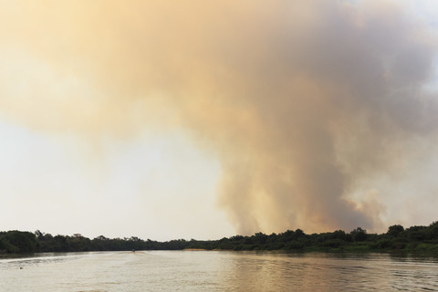 Brazil, Mato Grosso do Sul, Pantanal, Cuiaba River, Forest fire stock photo