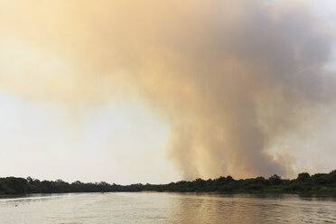 Brazil, Mato Grosso do Sul, Pantanal, Cuiaba River, Forest fire - FOF006456
