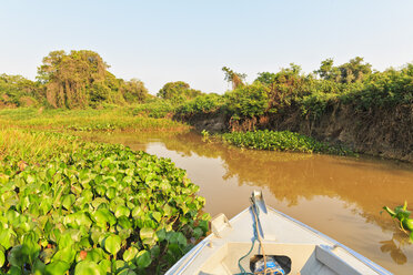 Brazil, Mato Grosso do Sul, Pantanal, Branch of Cuiaba River - FOF006461