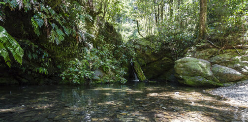 Neuseeland, Marlborough Sounds, Pelorus Fluss - WV000619