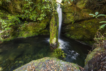 New Zealand, Marlborough Sounds, Pelorus river - WV000620