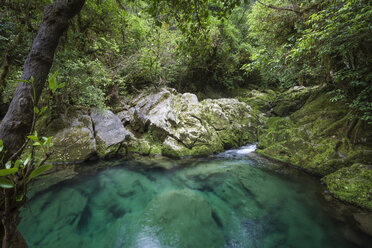 Neuseeland, Kahurangi National Park, Te Puna o Riuwaka, Quelle des Wassers - WV000626