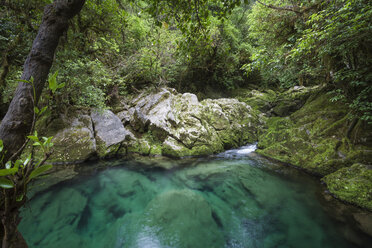 New Zealand, Kahurangi National Park, Te Puna o Riuwaka, spring of water - WV000626