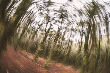 New Zealand, Abel Tasman, view of blurry forest - WV000628