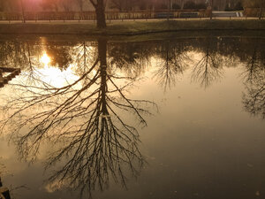 Deutschland, Berlin, Sonnenuntergang am Pool im Tiergarten - FBF000333