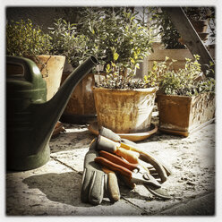 Germany, Baden-Wuerttemberg, Stuttgart, Garden, potted plants, watering, pruning shears, gloves, various herbs, gardening - WDF002463