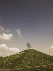 Germany, Baden-Wuerttemberg, Karlsruhe, two trees on a hill - LAF000705