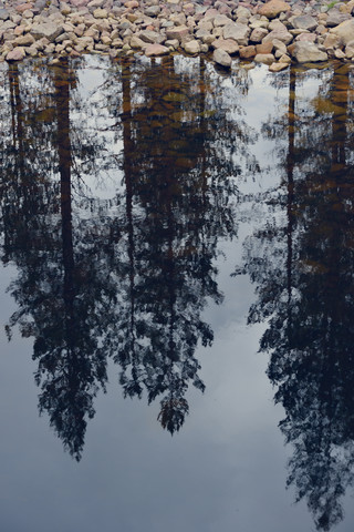 Schweden, Orsa, Spiegelung von Bäumen in einem See, lizenzfreies Stockfoto