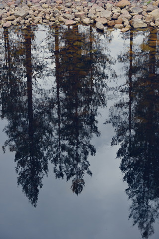 Sweden, Orsa, Reflection of trees in a lake stock photo