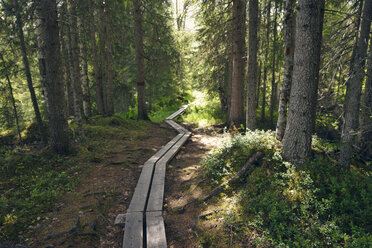 Sweden, Jamtlands country,Gaddede, Timber plank path in forest to Vilmarksvagen - BR000525