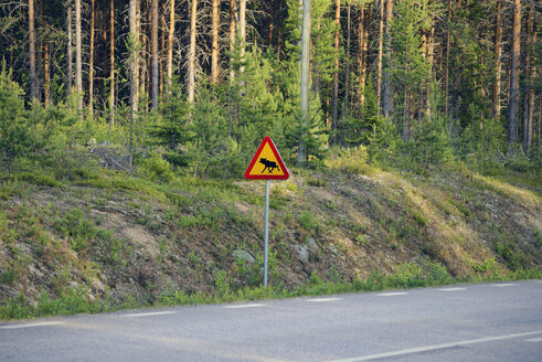 Schweden, Jokkmokk, Elch überquert Straßenschild an Landstraße - BR000414