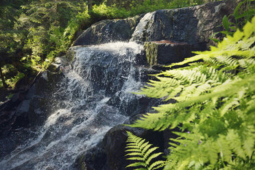 Schweden, Oernskoeldsvik, Skuleskogen National Park, Kleiner Wasserfall - BR000394