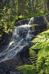 Schweden, Oernskoeldsvik, Skuleskogen National Park, Kleiner Wasserfall - BR000393