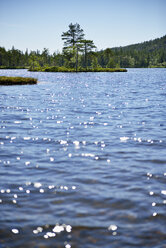 Schweden, Oernskoeldsvik, See Taernaettvattnen im Skuleskogen-Nationalpark - BR000386