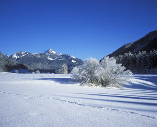 Deutschland, Bayern, Oberbayern, Mangfallgebirge, Wendelstein, Spur im Schnee - SIEF005273