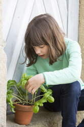 Portrait of little girl with flower pot of basil - LVF001036