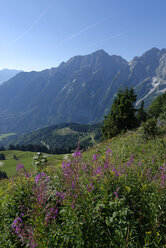 Deutschland, Bayern, Oberbayern, Alpen, Berchtesgadener Land, Hoher Göll und Freieck an der Rossfeldstraße - LB000688