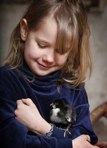 Portrait of little girl holding baby chicken stock photo
