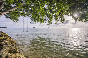 Thailand, Koh Phi Phi Don, Swing on a tree at beach - THAF000245