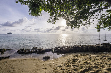 Thailand, Koh Phi Phi Don, Schaukel auf einem Baum am Strand - THA000246