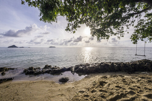 Thailand, Koh Phi Phi Don, Schaukel auf einem Baum am Strand - THA000246