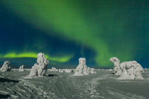 Skandinavien, Finnland, Kittilae, Polarlicht, Aurora borealis - SR000522