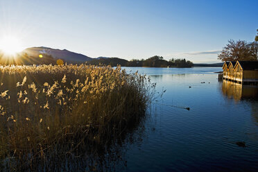 Deutschland, Bayern, Oberbayern, Staffelsee im Abendlicht - UMF000696