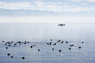 Germany, Bavaria, Upper Bavaria, Starnberg, Lake Starnberg, Couple in a rowing boat - UMF000699