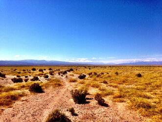 Argentina, Andes, near Tilcara, salt desert - AVSF000004