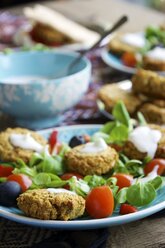 Falafel Salad with home made baked falafel - HAWF000105